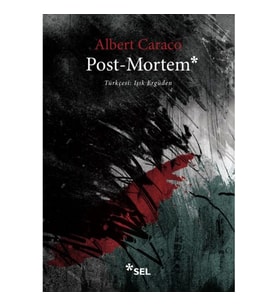 Post-Mortem