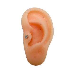 ÇELİK ARKADAN VİDALI TAŞLI KALP TRAGUS-HELIX PIERCING 6 MM GÜMÜŞ RENK ACR2236