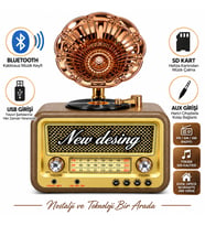 Dosound DS-2527B Retro Radyo Bluetooth USB SD Kart AUX FM AM SW Taşınabilir Müzik Çalar