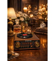 Plak Görünümlü Nostaljik Radyo RT-604