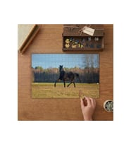Çayırda Koşan Vahşi Siyah At Tasarımı 240 parça Ahşap Puzzle Ahşap Kutuda MP07404