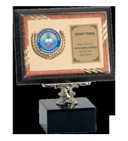 ODAK KUPA - Ahşap Plaketler - PL-096 B - 15x20 cm