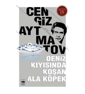 DENİZ KIYISINDA KOŞAN ALA KÖPEK