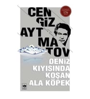 DENİZ KIYISINDA KOŞAN ALA KÖPEK