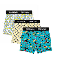 Carnaval Food Mood Erkek Boxer 3’lü Set