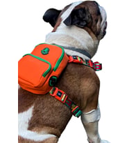Design, Gimme Five, Turuncu Çantalı Göğüs Tasması,Köpek Sırt Çantası – Göğüs Tasması İşlevli, Geri Dönüştürülmüş Malzeme, Ayarlanabilir