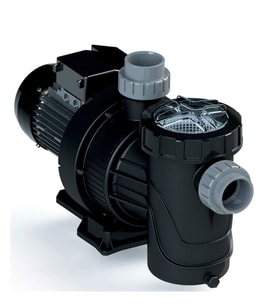 Astral Havuz Pompası Verdon ES 1.5Hp 220 Volt (Siyah)