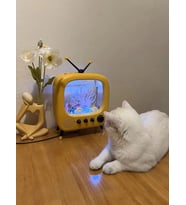 Monozone Tv Şekilli Işıklı Mini Akvaryum Beta Balık Tankı Led Aydınlatma Vintage