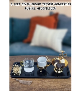Dekoratif Servis Sunum Tepsisi 6 Adet Metal Çay Kahve Pasta Tatlı ve Kahvaltı Tepsisi (Siyah)