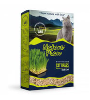 Nature Plan Kedi Çimi 500 ml