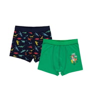 Civil Boys Trex 2-10 Yaş Erkek Çocuk 2'li Boxer - Standart