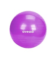 AVESSA XPT-55-PURPLE PLATES TOPU MOR 55 CM \800 2 KRLY6736