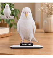 Evcil Hayvan Fotoğraflı MDF Karikatürlü Kişiye Özel Karikatürlü 18 cm MDF Masaüstü Biblo - Masaüstü Hediye 4. Model