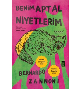 Benim Aptal Niyetlerim