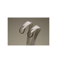 14 Ayar Beyaz Altın Kadın Dorica (çap:1.6 Cm) Halka Küpe