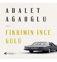Fikrimin İnce Gülü