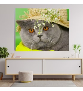 İngiliz Kedi Kanvas Tablo