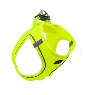 Göğüs Tasması Xsmall 32X36 Cm Neon Lime