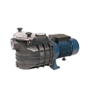 2 Hp-220v- Havuz, Salamur Ve Kirli Su Pompası(Filtreli)