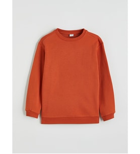 LCW Kids Kahverengi Bisiklet Yaka Erkek Çocuk Kalın Sweatshirt