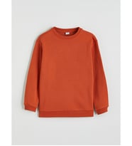 LCW Kids Kahverengi Bisiklet Yaka Erkek Çocuk Kalın Sweatshirt