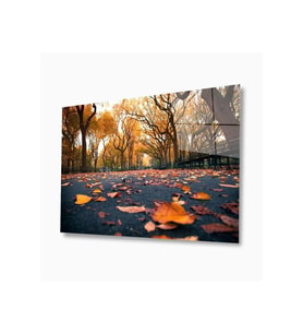 Doğa Cam Tablo 4mm Dayanıklı Temperli Cam (Çok Renkli)