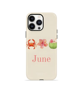 iPhone 14 Pro Vorian Çift Katmanlı MagSafe Kılıf June Seaside