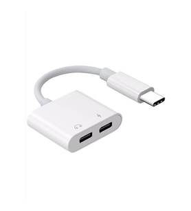 ZR293 Ftac42 Type-C 2 İn 1 Converter Adaptör