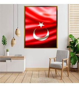 Altın  Çerçeveli tablo n481