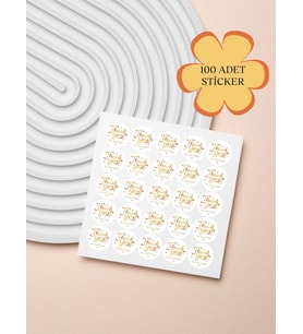 100 Adet Teşekkür Ederiz Stickers Paketleme Kargo Çıkartma PYT0KSTK132
