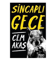 Sincaplı Gece