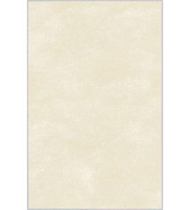 Eliana Home Baskılı, Yıkanabilir Kaymaz Taban Salon Halısı LNA1084 100x150 cm (Krem)