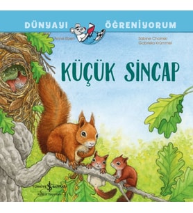 Küçük Sincap Dünyayı Öğreniyorum