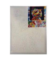 MİART 30X40 SAYILARLA BOYAMA TUVAL - SEVİMLİ DOST - MSB30409