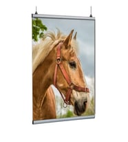 Poster Tutucu Clamp 120cm 2li Paket