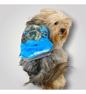 Pirate Blue Oval Yaka Tişört Köpek Kıyafeti
