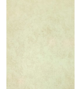 MAXWALL QUANTUM DUVAR KAĞIDI 6-009 (10m2)