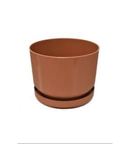 3No Saksı 6Lt Royaleks-S283