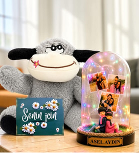 Kişiye Özel Yazılı 3 Fotoğraflı Renkli LED Işıklı Fanus(sırt sırta biblolu) ve Şaşkın Peluş Eşek