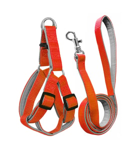 Gezdirme Kayışlı Dokuma Köpek Göğüs Tasma Seti 52*73-110 cm Turuncu