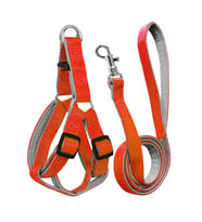 Gezdirme Kayışlı Dokuma Köpek Göğüs Tasma Seti 52*73-110 cm Turuncu