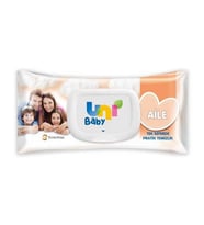 Northcity Baby Aile Islak Havlu 90'lı - Bebekler İçin Yumuşak ve Nemli Hijyenik Bebek Havlusu