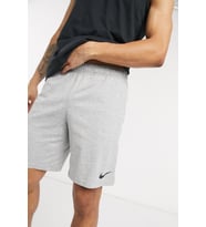 Nike Dri Fit Fleece Training Erkek Gri Spor Şort (Gri)