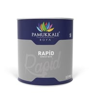 Pamukkale 1402 Rapid Endüstriyel Boya 60-70 Gloss 2.5 Kg Turkuaz Ral 5018
