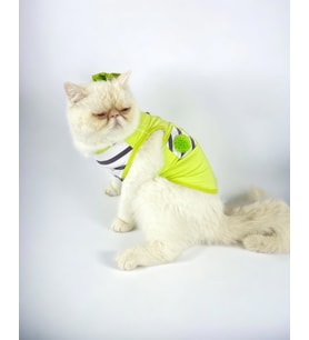 Lime Fuzz Atlet Kedi Kıyafeti Kedi Elbisesi (Çok Renkli)