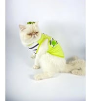 Lime Fuzz Atlet Kedi Kıyafeti Kedi Elbisesi (Çok Renkli)