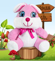 OYUNCAK AYICI 20 - 25 cm Sevimli Tavşan (%100 Yerli ) (Pembe)