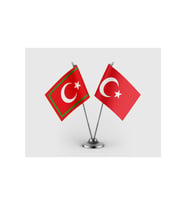 Gümrük Bayrağı ve Türk Bayrağı İkili Saten Masa Bayrağı Takımı