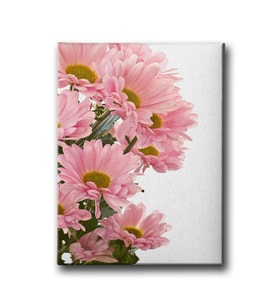 Pembe Papatyalı Tablo ÇÇD120