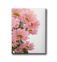 Pembe Papatyalı Tablo ÇÇD120
